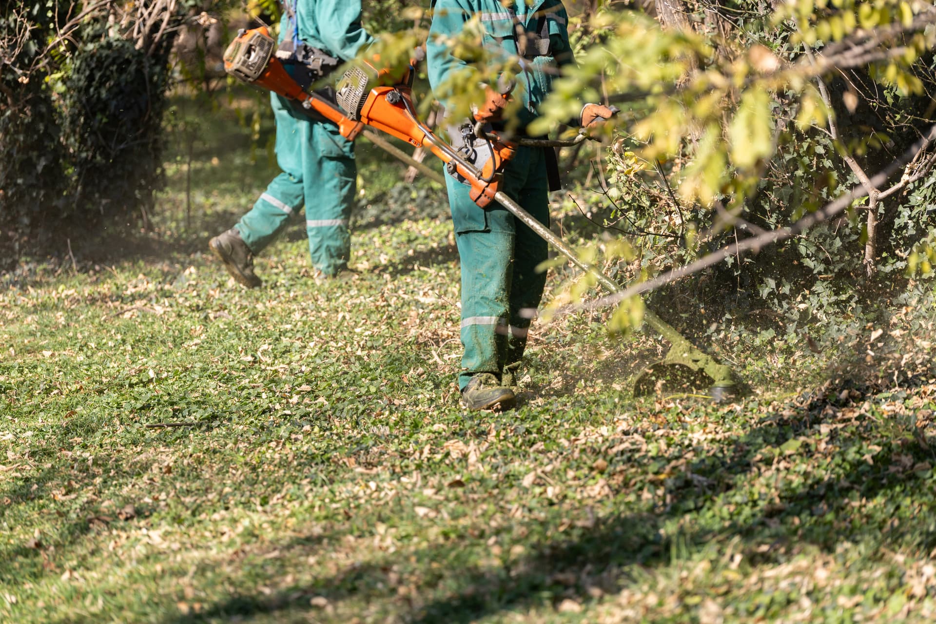 baum-und-garten-profi-1