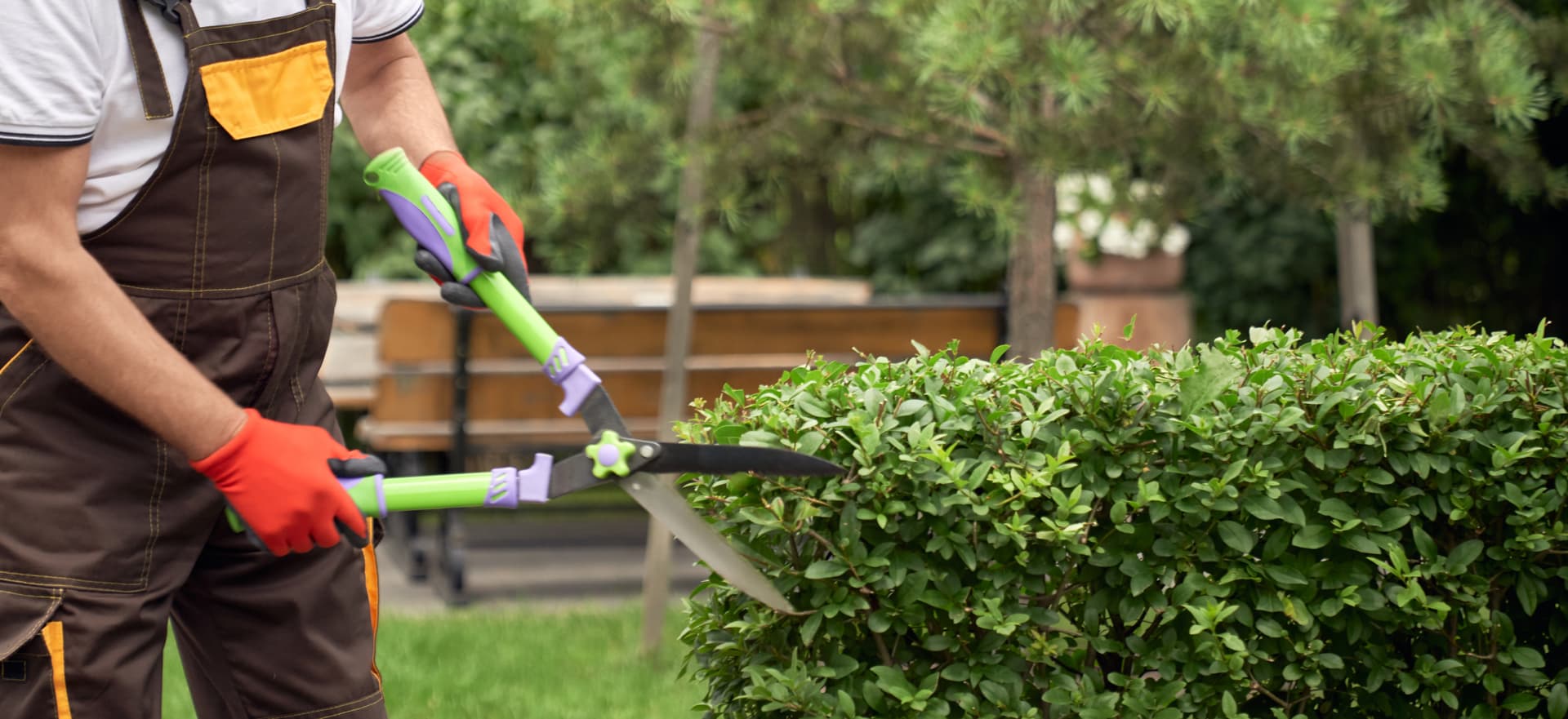 baum-und-garten-profi-12