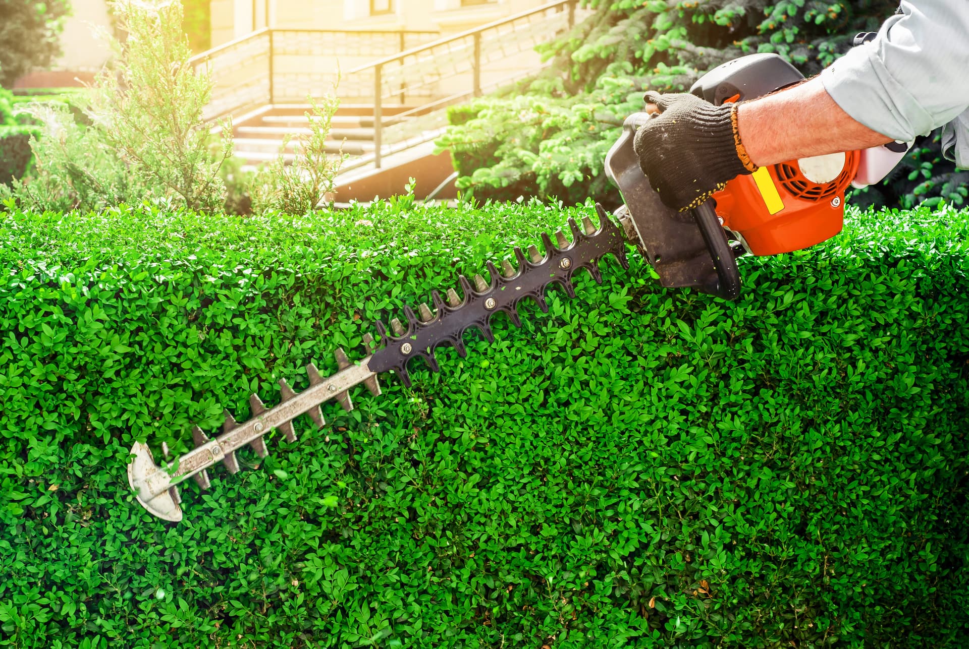 baum-und-garten-profi-14