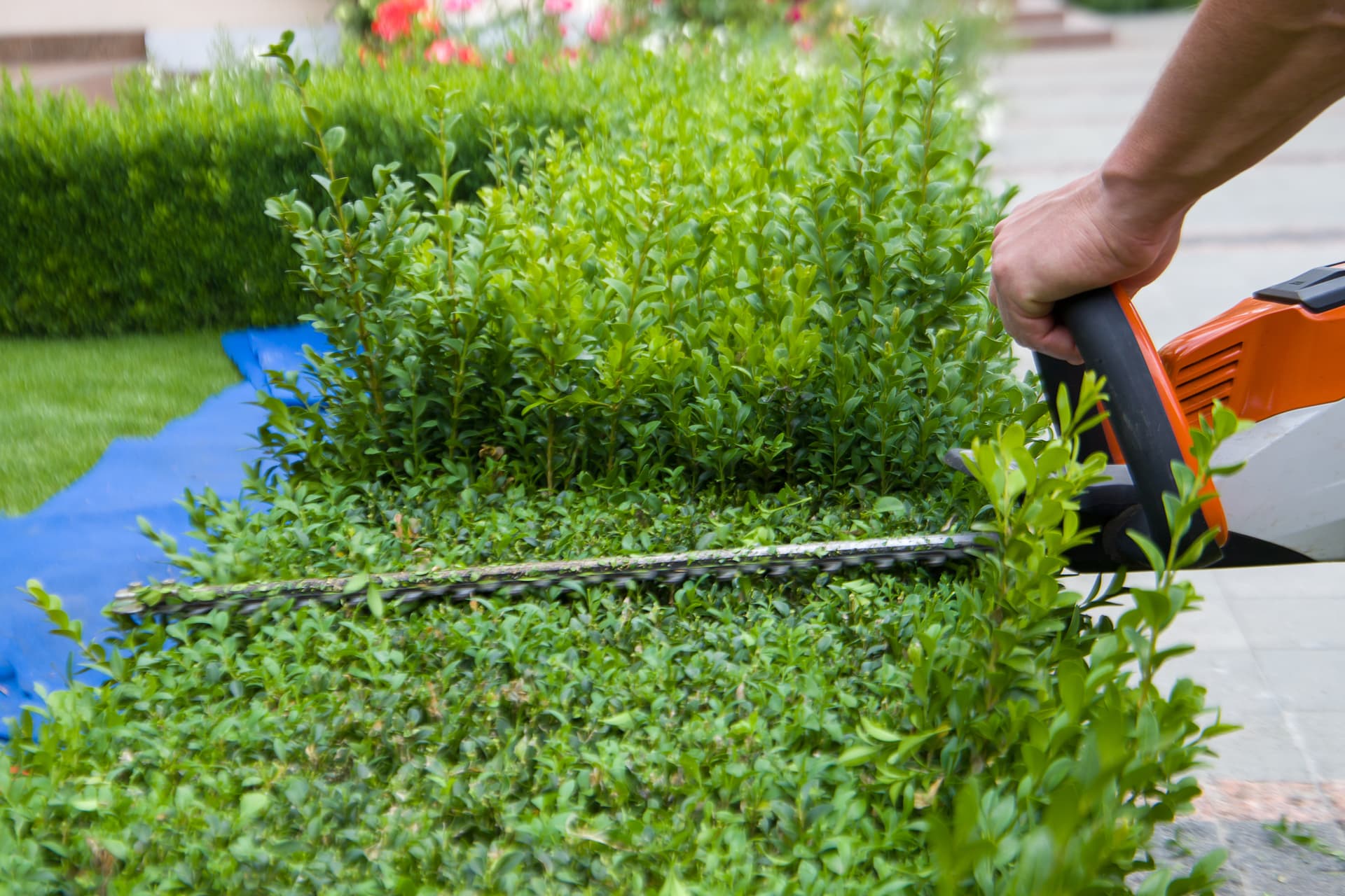 baum-und-garten-profi-8